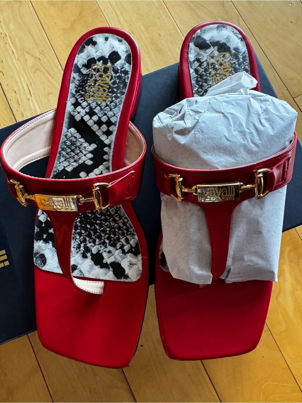 Roberto Cavalli Red Leather Thong Sandal with Gold Hardware
